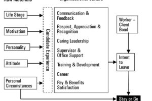 Diagram 2: The Main Causes of Unnecessary Staff Loss